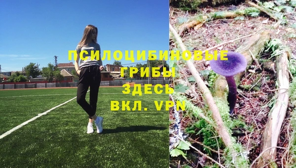 СК Верхний Тагил