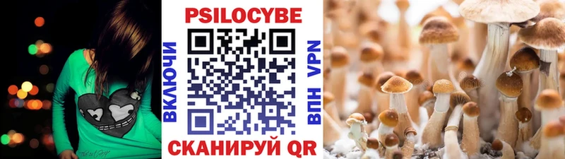 цена наркотик KRAKEN онион Псилоцибиновые грибы прущие грибы Серпухов